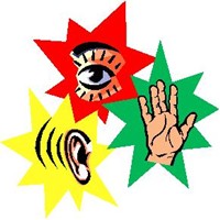 Портфолио Bailey Edwards